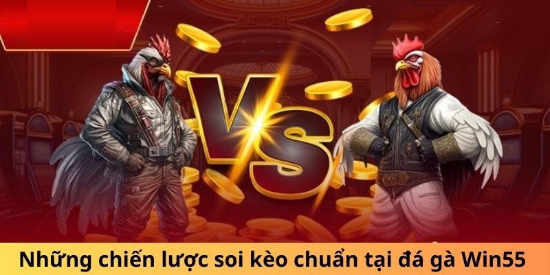 Những chiến lược soi kèo chuẩn tại đá gà WIN55