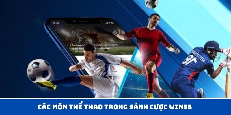 Sảnh cược thể thao WIN55 với đa dạng loại hình